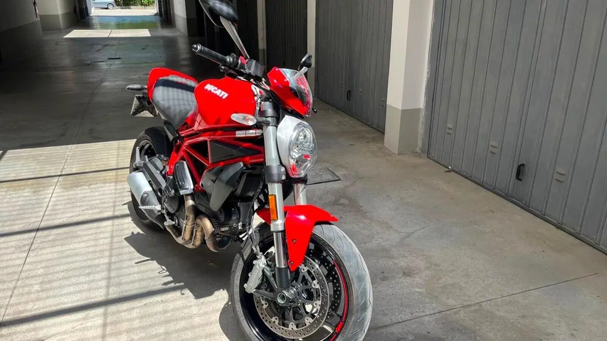 Ducati Monster 797 (2019 - 20)  (2)