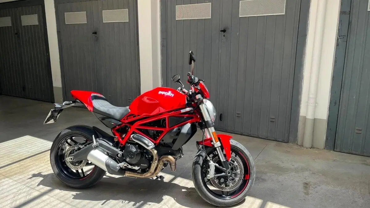 Ducati Monster 797 (2019 - 20)  (4)