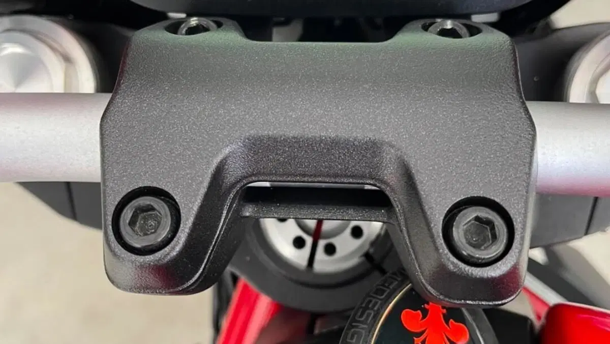 Ducati Monster 797 (2019 - 20)  (5)