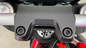 Ducati Monster 797 (2019 - 20)  (5)