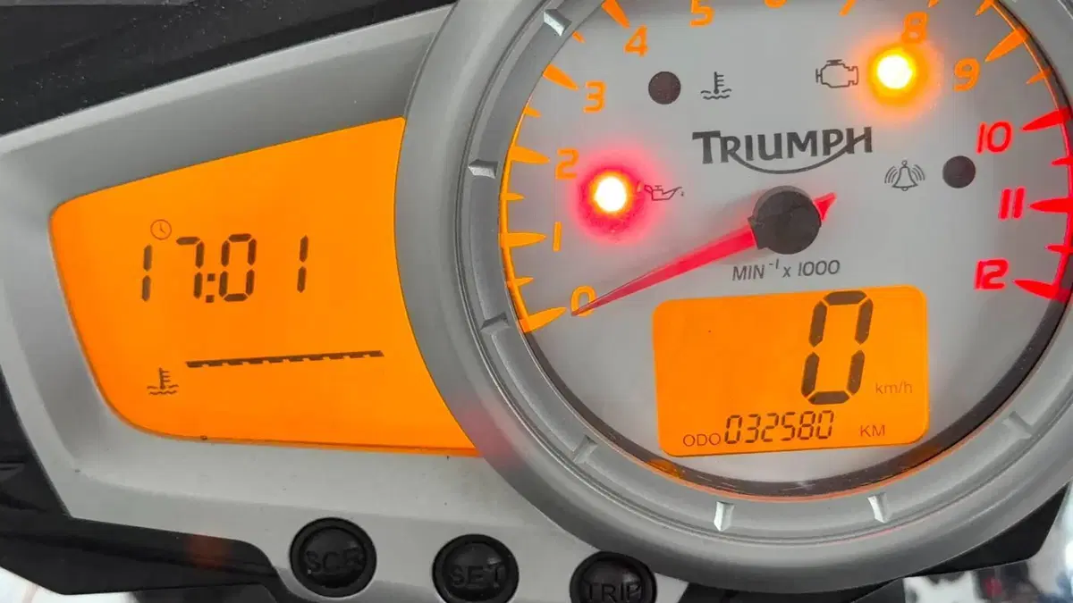 Triumph Speed Triple 1050 SE 15th Anniversary (2009 -10)  (3)