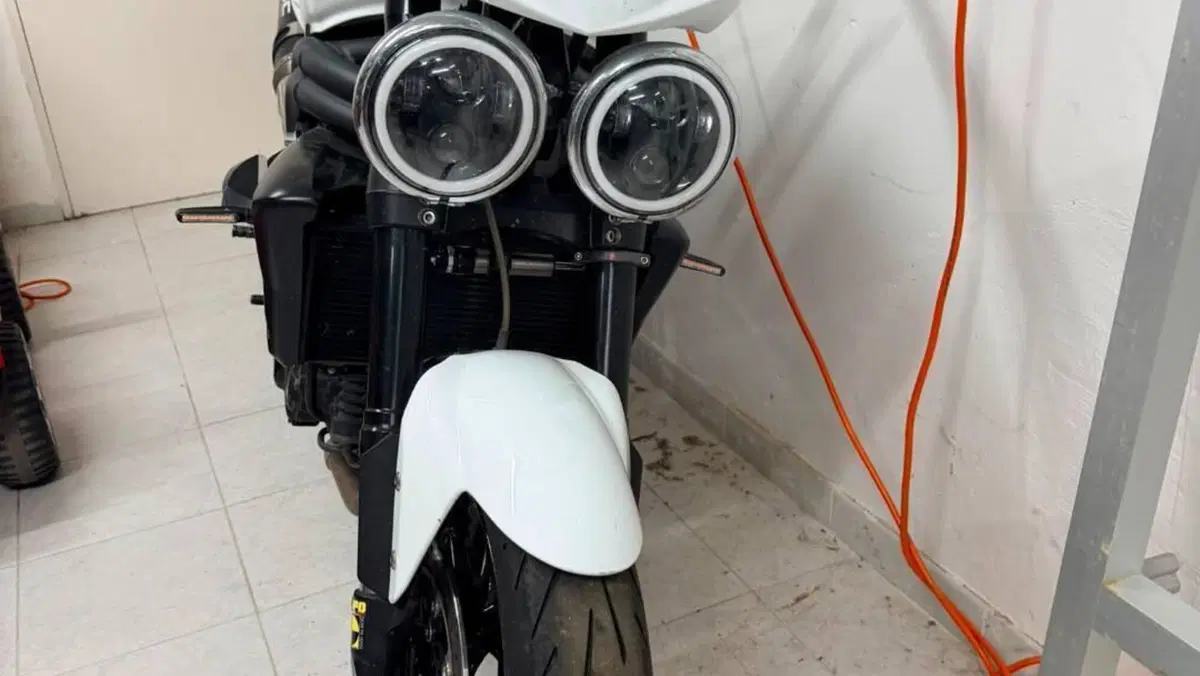 Triumph Speed Triple 1050 SE 15th Anniversary (2009 -10)  (4)