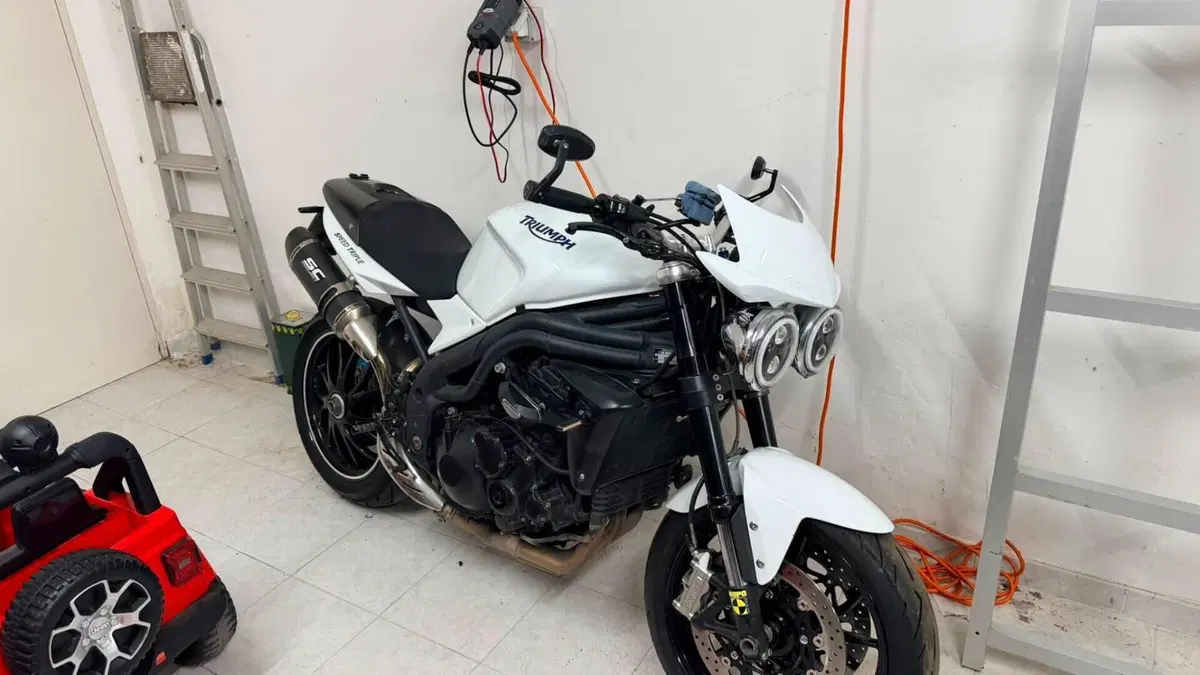 Triumph Speed Triple 1050 SE 15th Anniversary (2009 -10) 