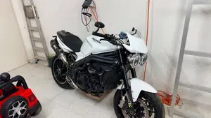 Triumph Speed Triple 1050 SE 15th Anniversary (2009 -10) 