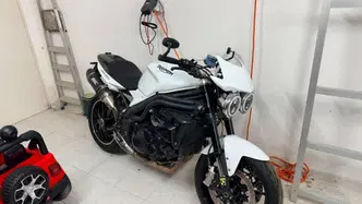 Triumph Speed Triple 1050 SE 15th Anniversary (2009 -10) usata