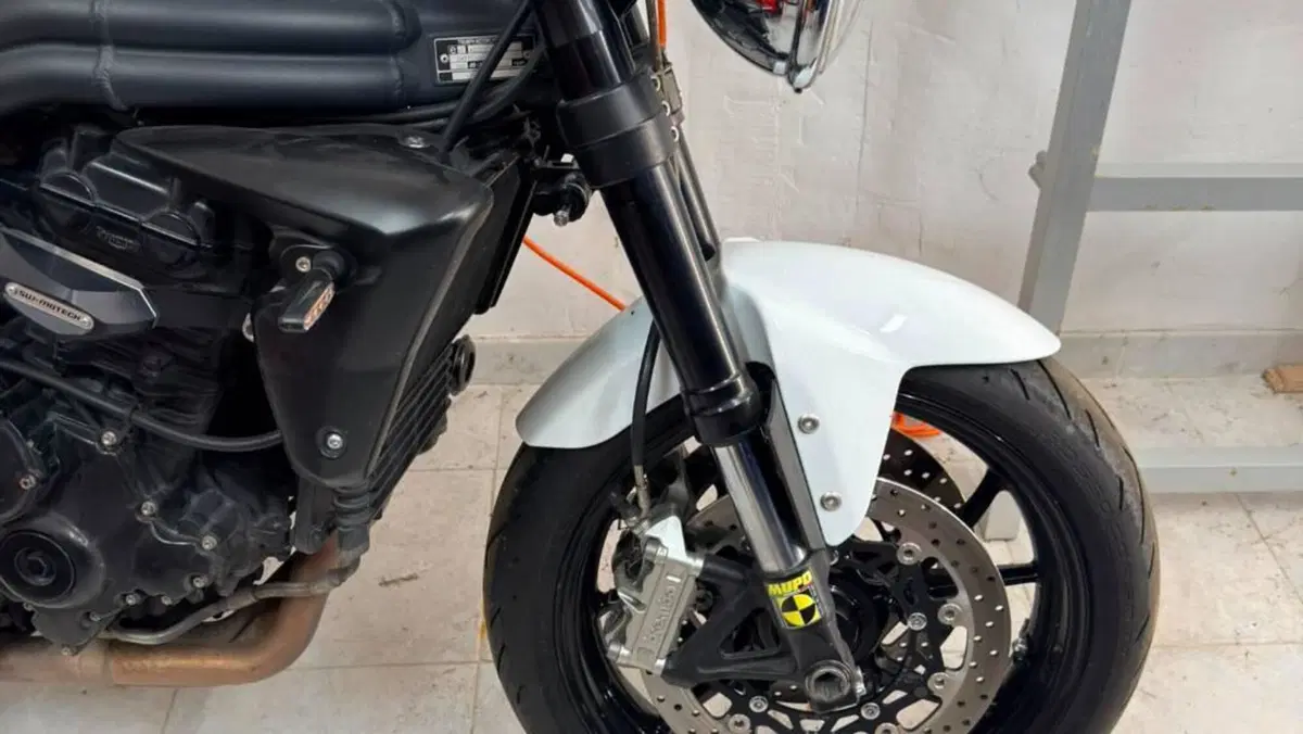 Triumph Speed Triple 1050 SE 15th Anniversary (2009 -10)  (5)