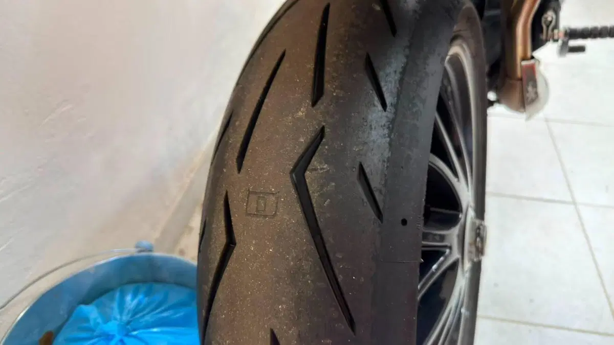 Triumph Speed Triple 1050 SE 15th Anniversary (2009 -10)  (7)