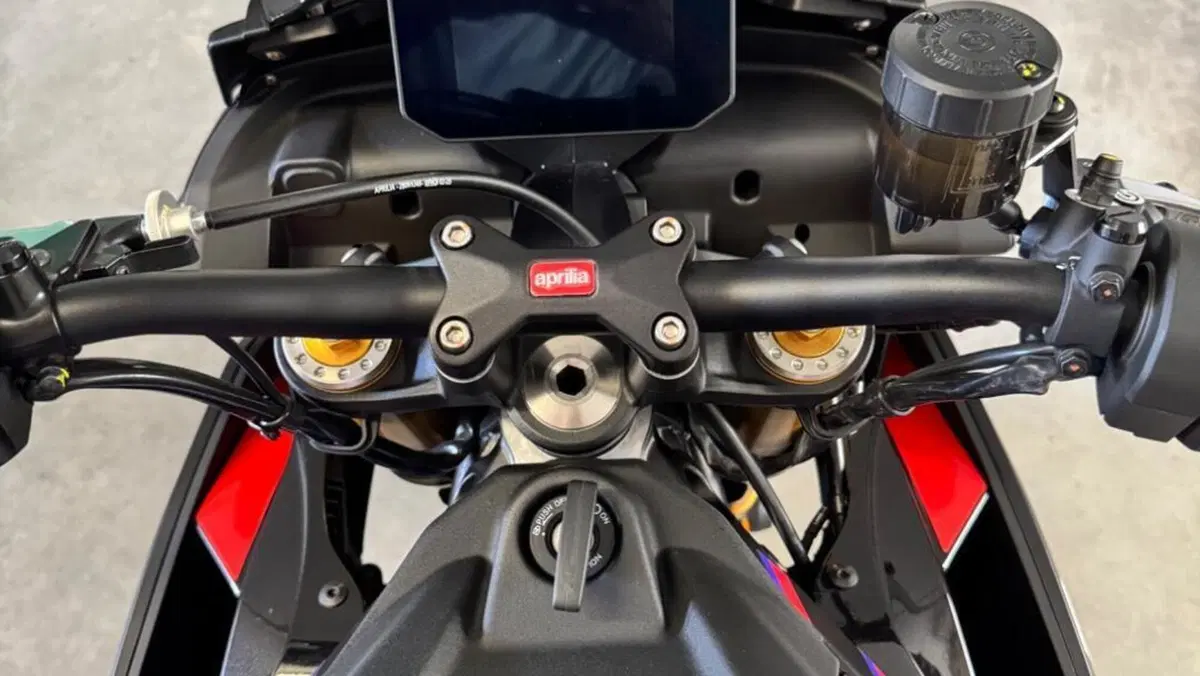 Aprilia Tuono 660 Factory (2025 - 26)  (7)