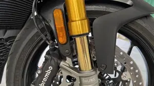 Aprilia Tuono 660 Factory (2025 - 26)  (10)