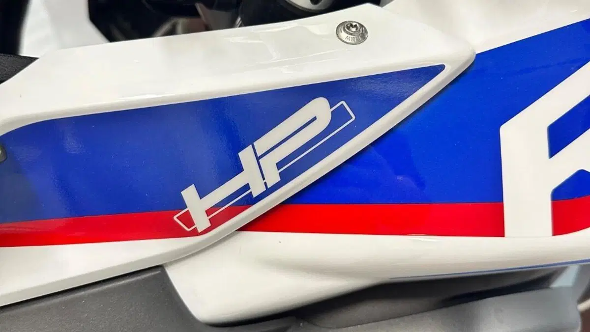 Bmw R 1250 GS (2019 - 20)  (4)