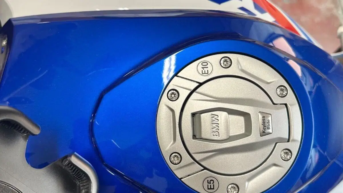 Bmw R 1250 GS (2019 - 20)  (8)
