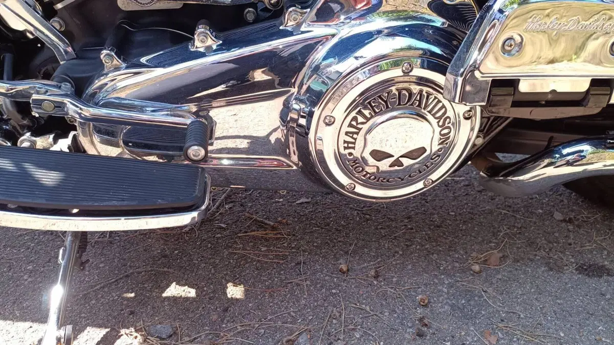 Harley-Davidson 107 Road King Classic (2019 - 20) - FLHRC  (14)