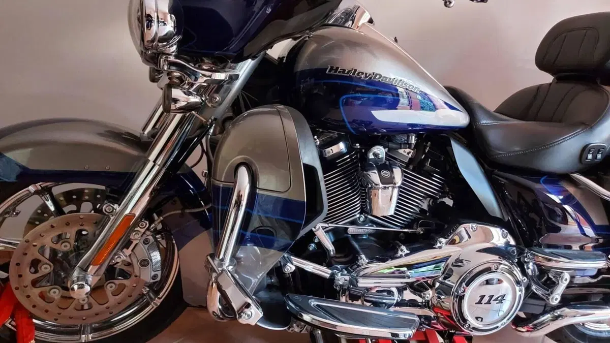 Harley-Davidson 114 Limited (2017)  (3)