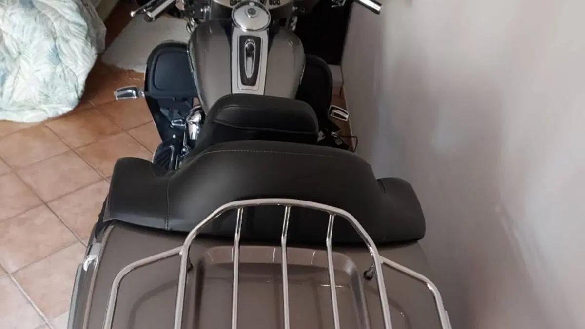 Harley-Davidson 114 Limited (2017)  (11)