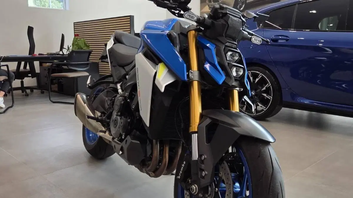 Suzuki GSX-S1000 (2021 - 25) 