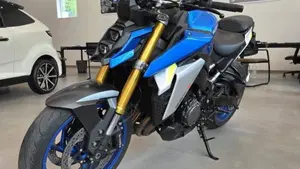Suzuki GSX-S1000 (2021 - 25)  (6)