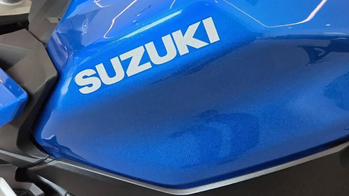 Suzuki GSX-S1000 (2021 - 25)  (8)