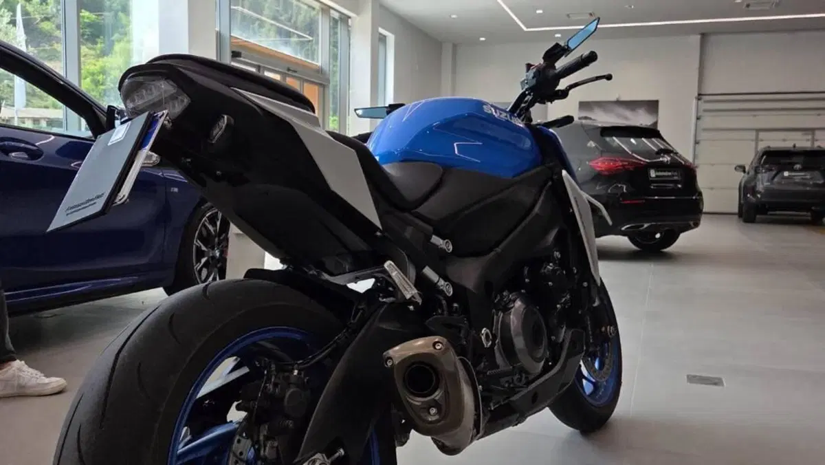 Suzuki GSX-S1000 (2021 - 25)  (10)