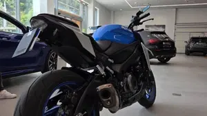 Suzuki GSX-S1000 (2021 - 25)  (10)