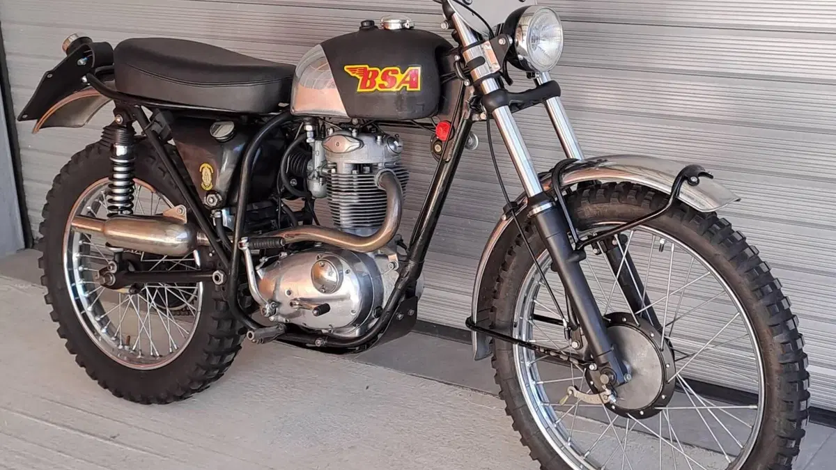 Bsa   (3)