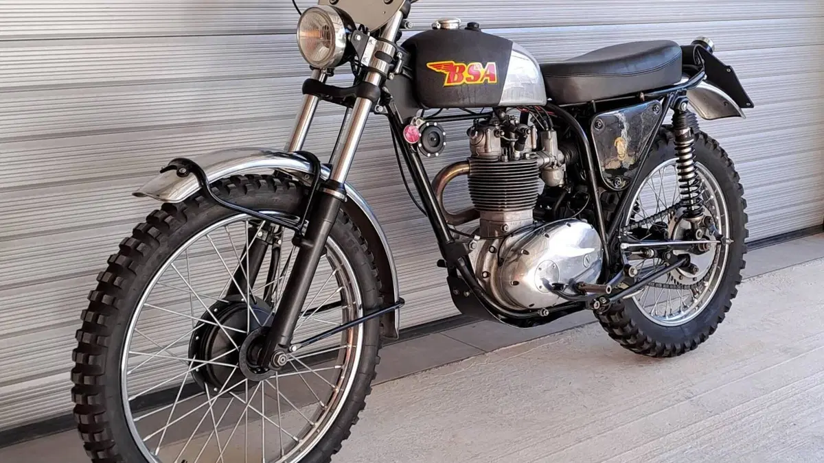 Bsa   (4)