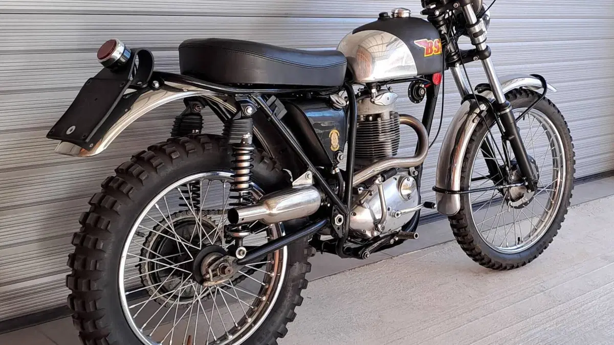 Bsa   (5)