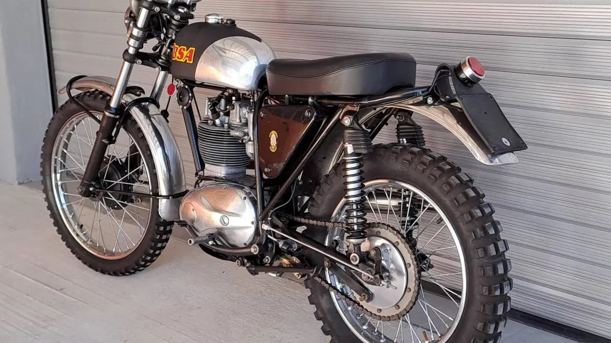 Bsa   (6)