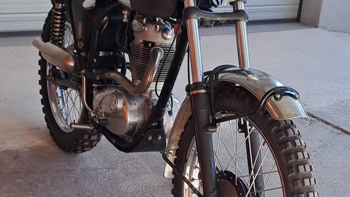 Bsa   (7)