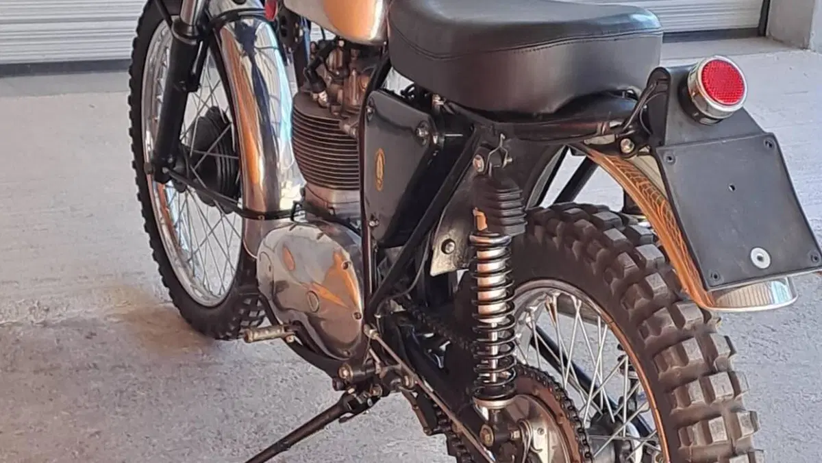 Bsa   (10)