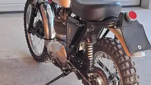 Bsa   (10)