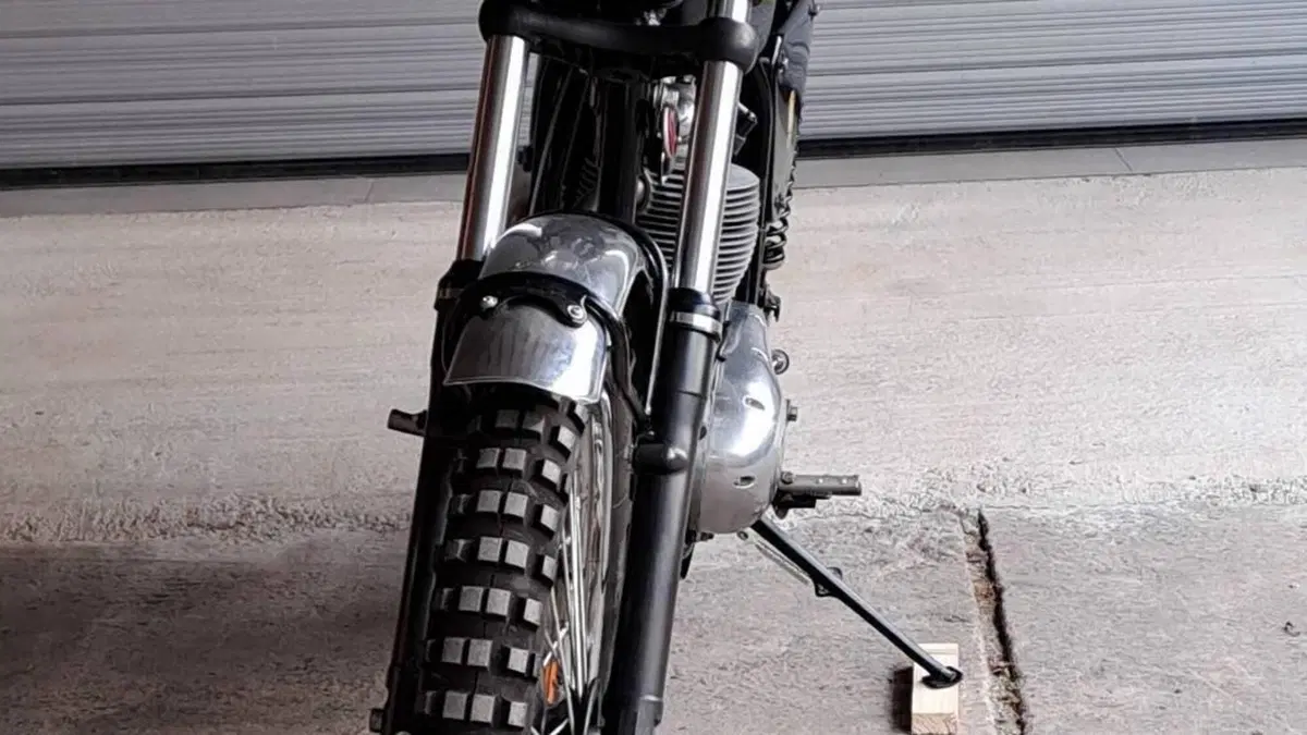 Bsa   (11)