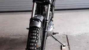Bsa   (11)