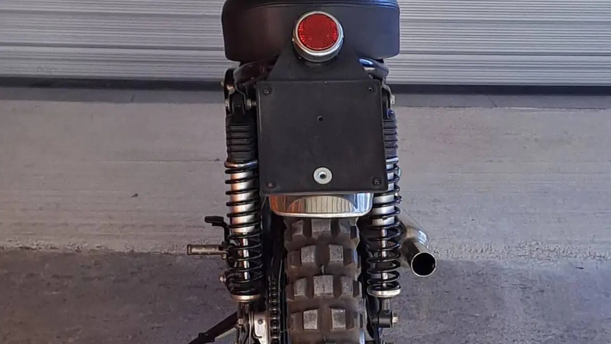 Bsa   (12)