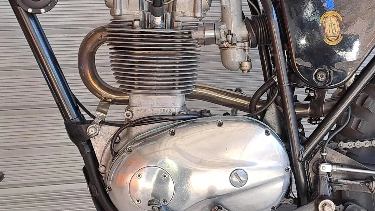 Bsa   (14)