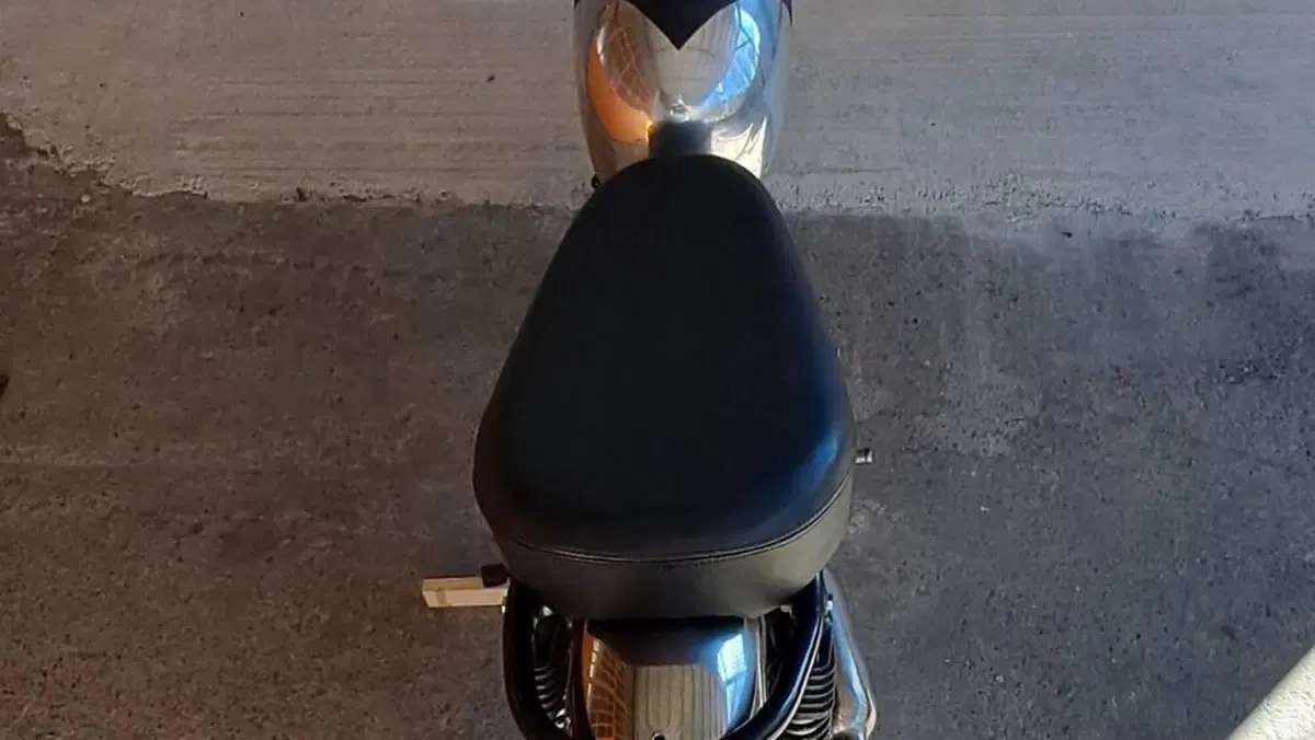 Bsa   (15)