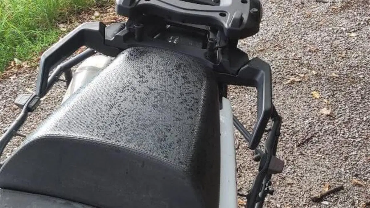 Husqvarna Norden 901 (2022 - 26)  (3)