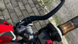 Ducati Monster 796 (2010 - 13)  (9)