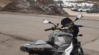 Aprilia Tuono 1000 R (2006 - 10)