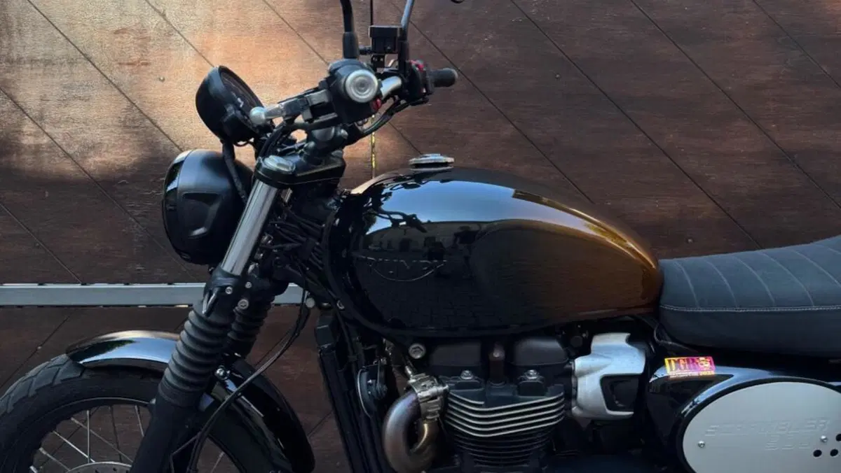 Triumph Scrambler 900 Stealth Edition (2024)  (2)