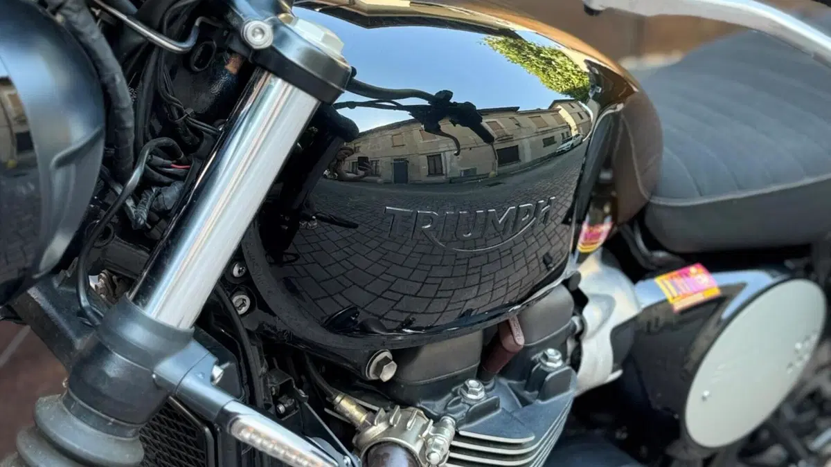 Triumph Scrambler 900 Stealth Edition (2024)  (5)