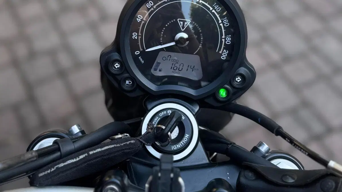Triumph Scrambler 900 Stealth Edition (2024)  (13)