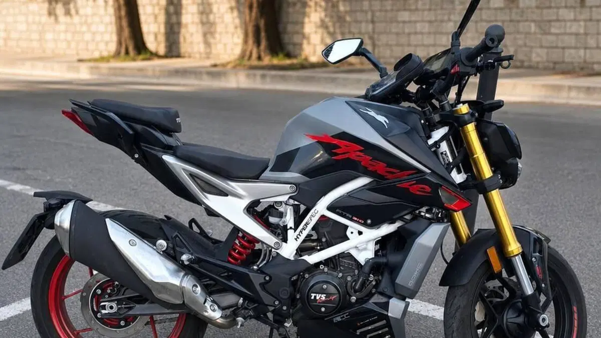 TVS Motor RTR 310 (2024 - 26)  (3)