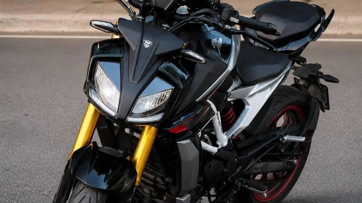 TVS Motor RTR 310 (2024 - 26)  (2)