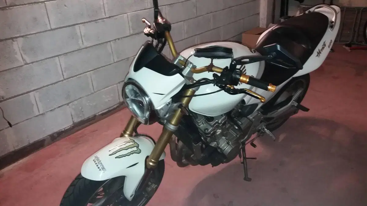 Honda Hornet 600 (2005 - 06)  (3)