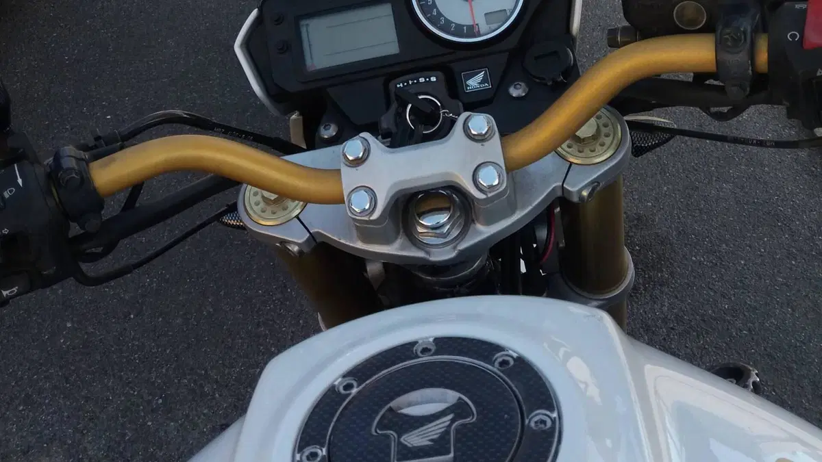 Honda Hornet 600 (2005 - 06)  (4)