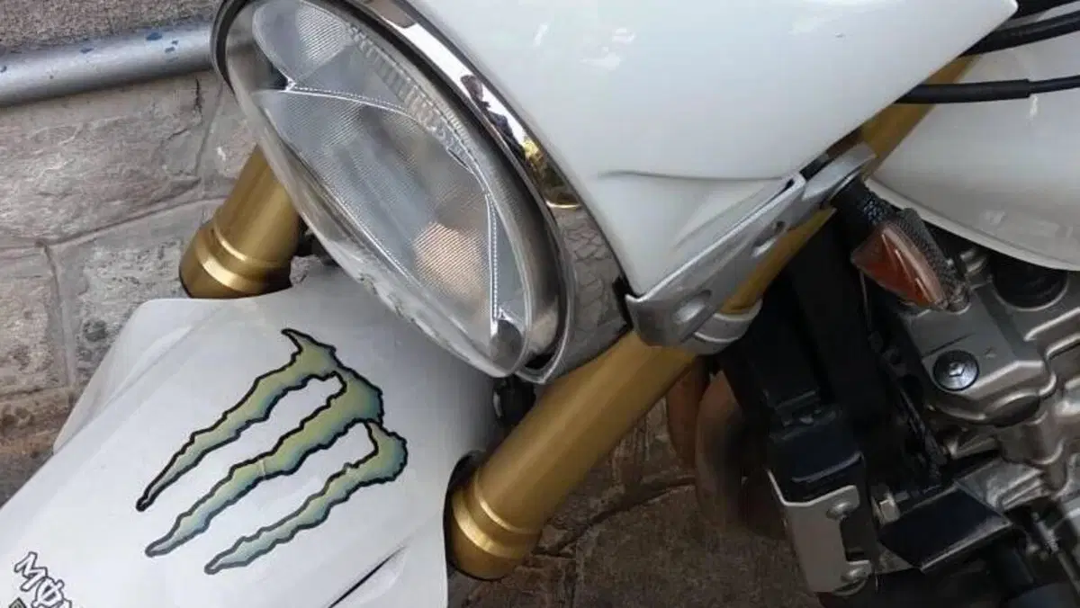 Honda Hornet 600 (2005 - 06)  (8)