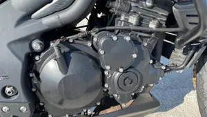 Triumph Tiger 1050 ABS (2006 - 12)  (9)