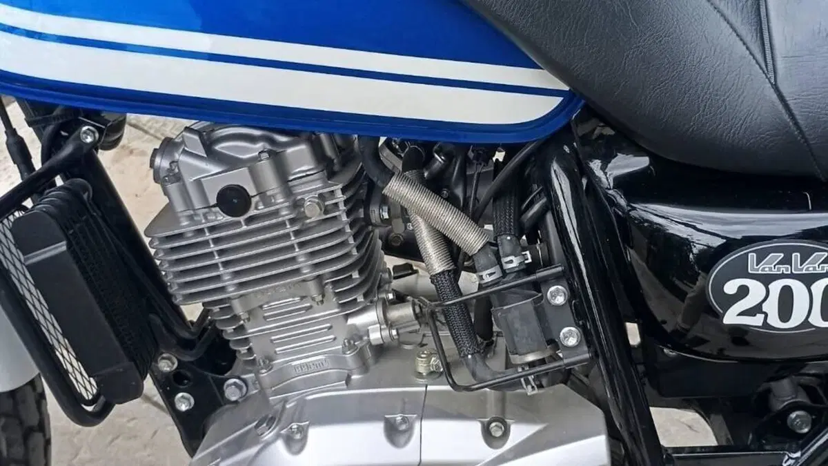 Suzuki Van Van RV 200 (2016 - 17)  (2)