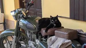 Royal Enfield Classic 500 EFI Battle Green (2017 - 20)  (2)