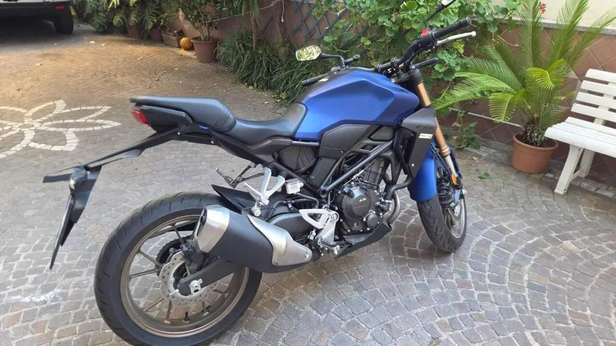 Honda CB 300 R (2022 - 26)  (2)